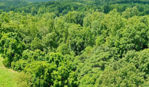Photo #7 of Stewartsville Rd, Vinton, VA 17.5 acres