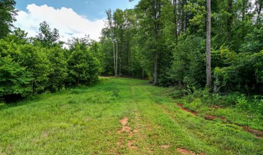 Photo #14 of Allens Creek Rd, Gladstone, VA 86.8 acres