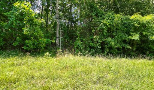 Photo #27 of Allens Creek Rd, Gladstone, VA 86.8 acres