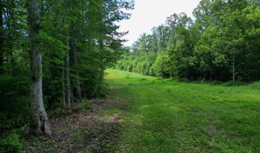 Photo #16 of Allens Creek Rd, Gladstone, VA 86.8 acres