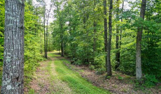 Photo #15 of Allens Creek Rd, Gladstone, VA 86.8 acres