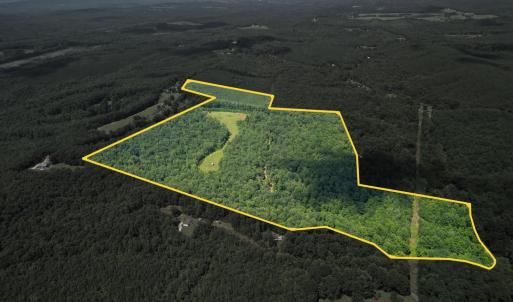 Photo #1 of Allens Creek Rd, Gladstone, VA 86.8 acres