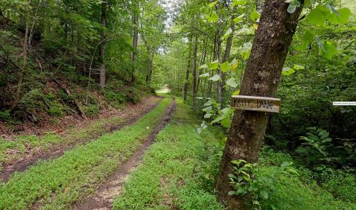 Photo #5 of Allens Creek Rd, Gladstone, VA 86.8 acres