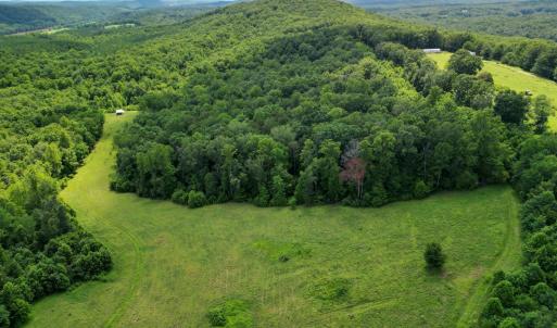 Photo #11 of Allens Creek Rd, Gladstone, VA 86.8 acres