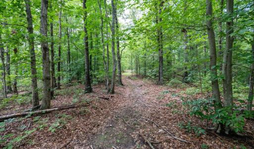 Photo #31 of Allens Creek Rd, Gladstone, VA 86.8 acres