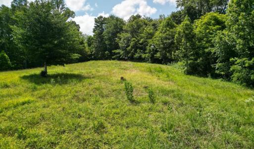 Photo #24 of Allens Creek Rd, Gladstone, VA 86.8 acres