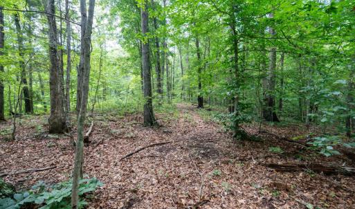 Photo #30 of Allens Creek Rd, Gladstone, VA 86.8 acres
