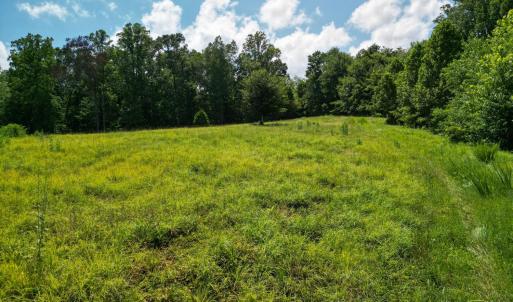 Photo #23 of Allens Creek Rd, Gladstone, VA 86.8 acres