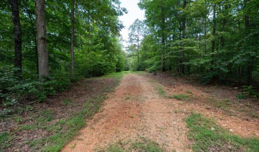 Photo #8 of Allens Creek Rd, Gladstone, VA 86.8 acres