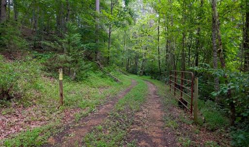 Photo #4 of Allens Creek Rd, Gladstone, VA 86.8 acres