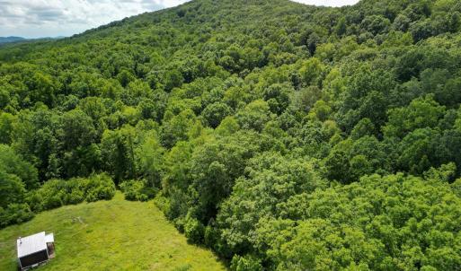 Photo #20 of Allens Creek Rd, Gladstone, VA 86.8 acres