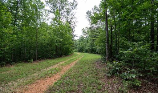 Photo #9 of Allens Creek Rd, Gladstone, VA 86.8 acres