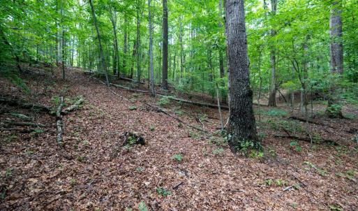 Photo #28 of Allens Creek Rd, Gladstone, VA 86.8 acres