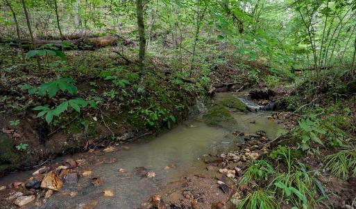 Photo #3 of Allens Creek Rd, Gladstone, VA 86.8 acres