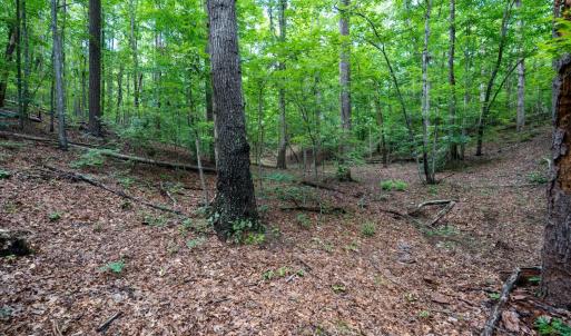 Photo #29 of Allens Creek Rd, Gladstone, VA 86.8 acres