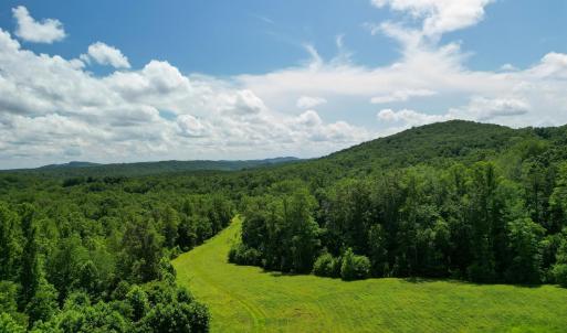 Photo #10 of Allens Creek Rd, Gladstone, VA 86.8 acres