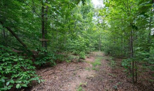 Photo #32 of Allens Creek Rd, Gladstone, VA 86.8 acres