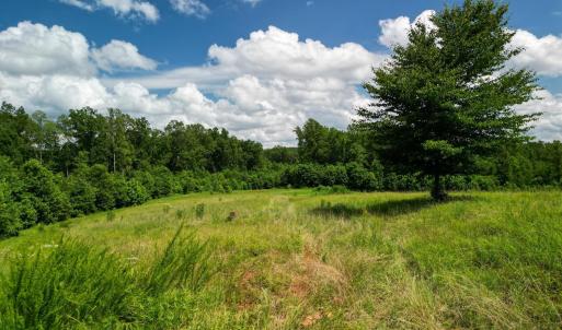 Photo #25 of Allens Creek Rd, Gladstone, VA 86.8 acres
