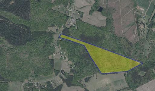 Photo #1 of Tabor Road, Gladys, VA 42.1 acres