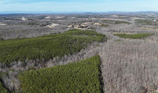 Photo #11 of Mountain Cut Road, Appomattox, VA 51.8 acres