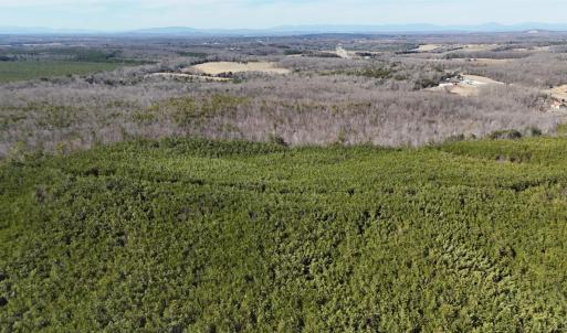 Photo #5 of Mountain Cut Road, Appomattox, VA 51.8 acres