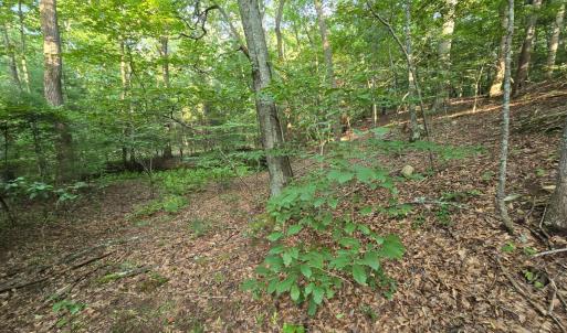 Photo #13 of Meadors Mill Road, Bedford, VA 22.0 acres
