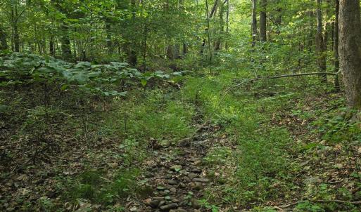 Photo #9 of Meadors Mill Road, Bedford, VA 22.0 acres
