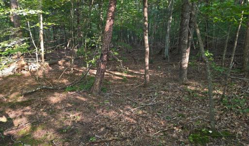 Photo #4 of Meadors Mill Road, Bedford, VA 22.0 acres