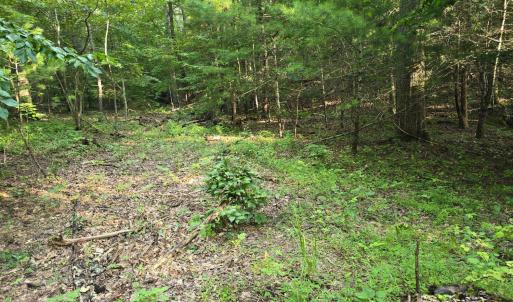 Photo #6 of Meadors Mill Road, Bedford, VA 22.0 acres