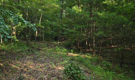 Photo #10 of Meadors Mill Road, Bedford, VA 22.0 acres