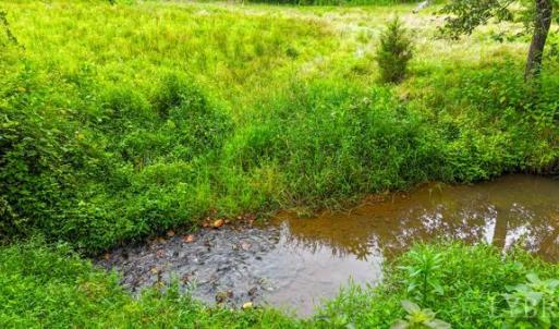 Photo #15 of Phelps Rd, Bedford, VA 20.0 acres