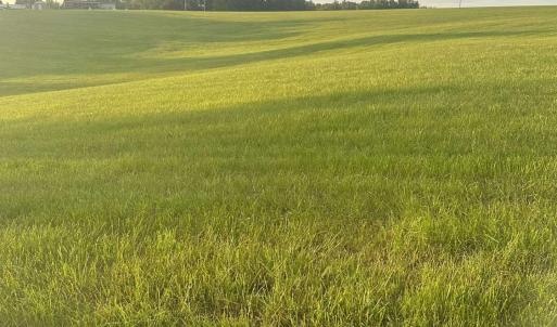 Photo #3 of Phelps Rd, Bedford, VA 20.0 acres