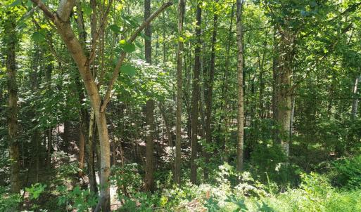Photo #1 of Knoll Woods Drive, Rustburg, VA 4.0 acres