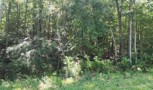 Photo #2 of Knoll Woods Drive, Rustburg, VA 4.0 acres