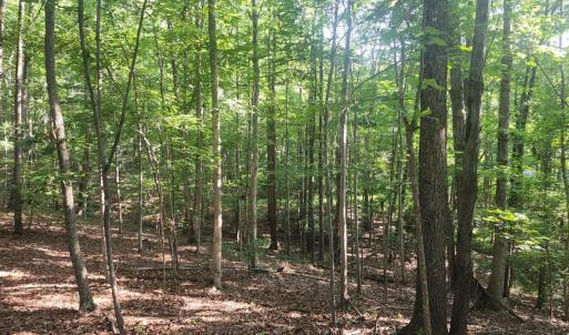Photo #5 of Knoll Woods Drive, Rustburg, VA 4.0 acres