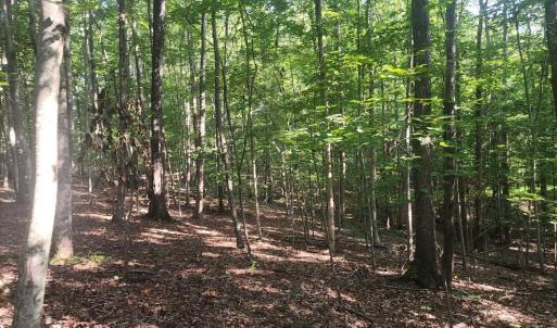 Photo #4 of Knoll Woods Drive, Rustburg, VA 4.0 acres