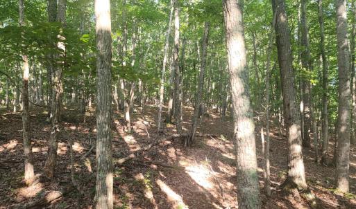 Photo #3 of Knoll Woods Drive, Rustburg, VA 4.0 acres