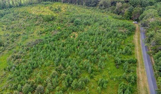 Photo #21 of 62 Grandmas Hill Road, Amherst, VA 62.0 acres