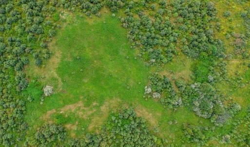 Photo #34 of 62 Grandmas Hill Road, Amherst, VA 62.0 acres