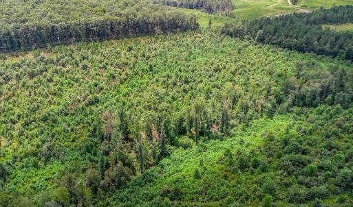 Photo #17 of 62 Grandmas Hill Road, Amherst, VA 62.0 acres