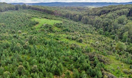 Photo #29 of 62 Grandmas Hill Road, Amherst, VA 62.0 acres