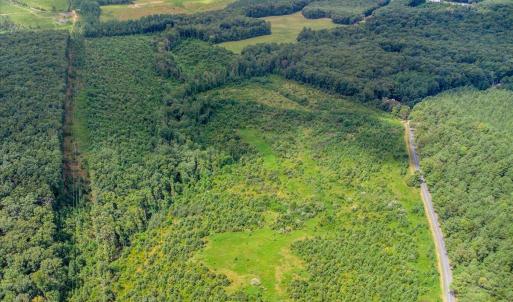 Photo #6 of 62 Grandmas Hill Road, Amherst, VA 62.0 acres