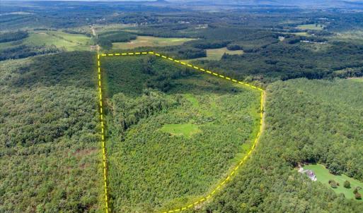 Photo #3 of 62 Grandmas Hill Road, Amherst, VA 62.0 acres