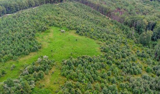 Photo #18 of 62 Grandmas Hill Road, Amherst, VA 62.0 acres