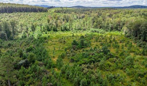 Photo #31 of 62 Grandmas Hill Road, Amherst, VA 62.0 acres