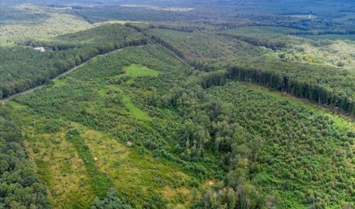 Photo #13 of 62 Grandmas Hill Road, Amherst, VA 62.0 acres