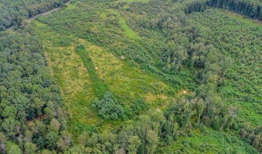 Photo #15 of 62 Grandmas Hill Road, Amherst, VA 62.0 acres