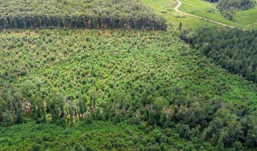 Photo #14 of 62 Grandmas Hill Road, Amherst, VA 62.0 acres