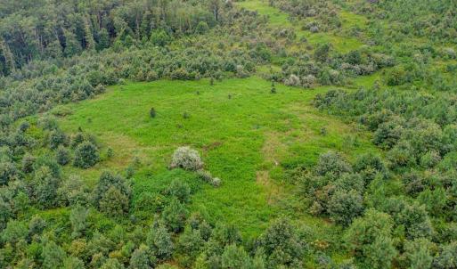 Photo #22 of 62 Grandmas Hill Road, Amherst, VA 62.0 acres