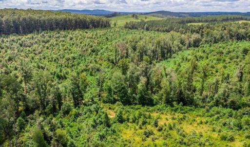 Photo #32 of 62 Grandmas Hill Road, Amherst, VA 62.0 acres